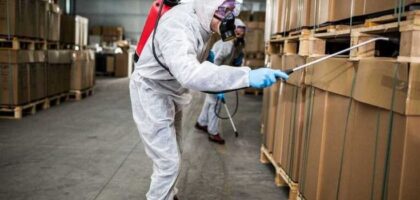 jasa anti rayap standar internasional