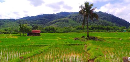 cara mengoptimalkan penggunaan alat pertanian