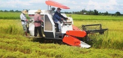 cara mengembangkan usaha jasa pertanian