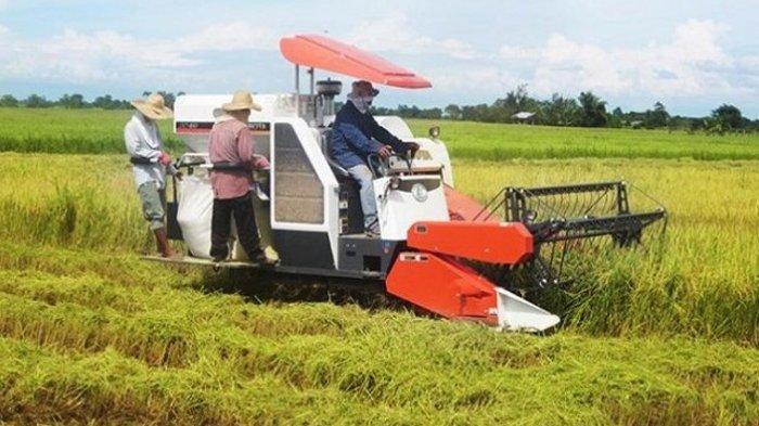 cara mengembangkan usaha jasa pertanian