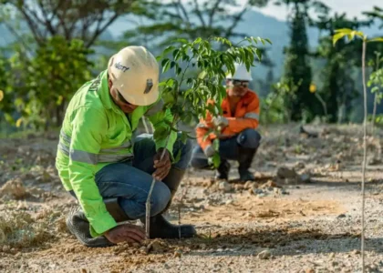 Revegetasi lahan bekas tambang